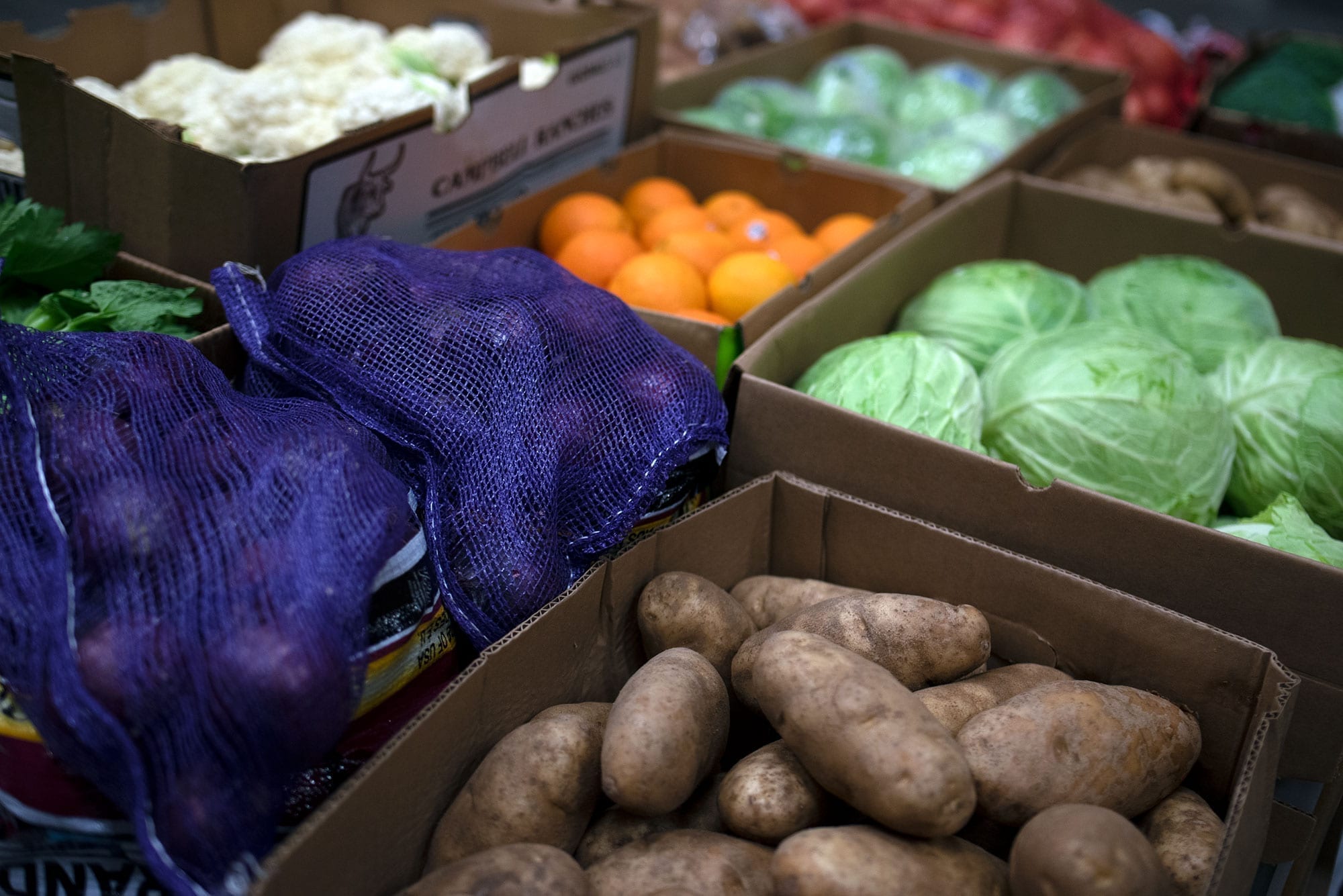 The New City Wide Produce site is Here City Wide Produce