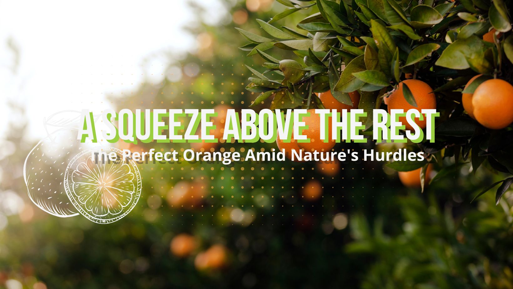 A Squeeze Above the Rest City Wide Produce